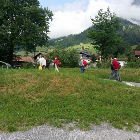 Größeres Bild anzeigen